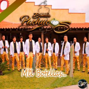 Download track La Peligrosa Banda Pachucos