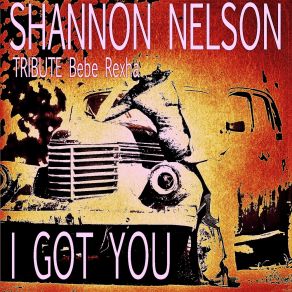 Download track I Got You (Instrumental) Shannon Nelson