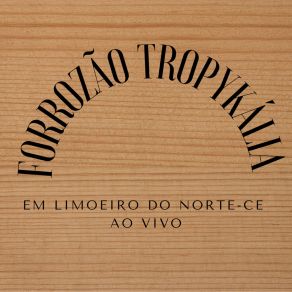 Download track Verdadeiro Amor (Ao Vivo) Forrozão Tropykália