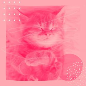 Download track Unique Backdrops For Cozy Kittens Cat Music Cradle