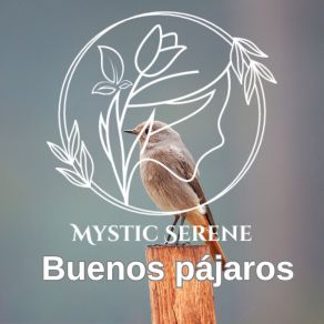 Download track Ruiseñor Del Bosque Mystic Serene