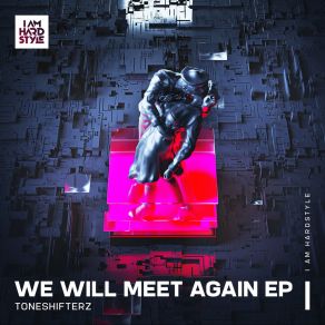 Download track We Will Meet Again (Extended Mix) Toneshifterz