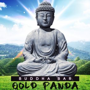 Download track Electric Wish (Original Mix) Buddha Bar