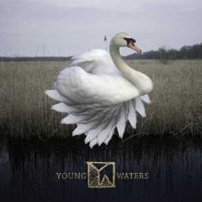 Download track Bleary Eyed Young Waters