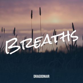 Download track Breaths (Radio Edit) Dragoonair