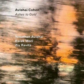 Download track The Seventh Avishai Cohen