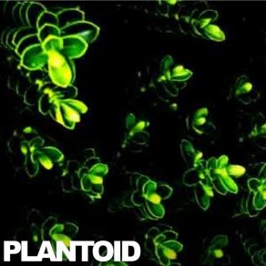 Download track C02 Plantoid