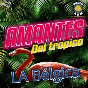 Download track Llego El Amor Amantes Del Tropico