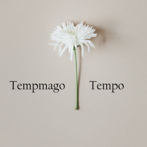 Download track Bibbles Tempmago