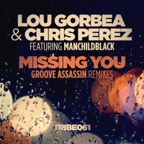 Download track Missing You (Dub Mix) [Manchildblack] Chris Perez, Louie 