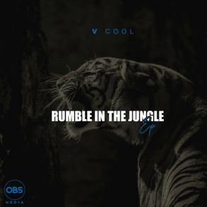 Download track Rumble In The Jungle (Original Mix) V-Cool