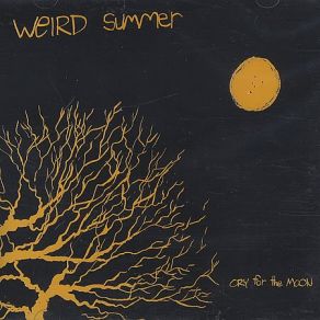 Download track So Little Time Weird Summer