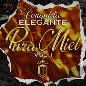 Download track Por Que Te Vas De Mi Conquista Elegante