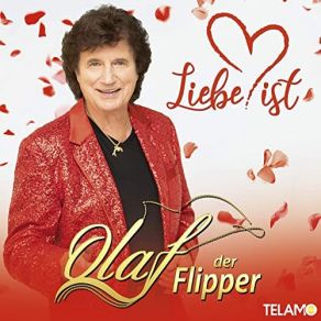 Download track Hallo Lieber Weihnachtsmann Olaf Der Flipper