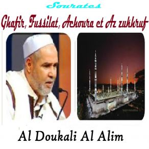 Download track Sourate Fussilat (Quran) Al Doukali Al Alim