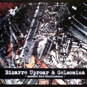 Download track Bizarre Sterilization / Bizarre Castration GELSOMINA, Bizarre Uproar