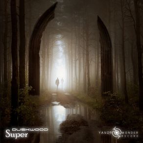 Download track Duskwood (Original Mix) Super