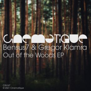 Download track Out Of The Woods Gregor Klamra