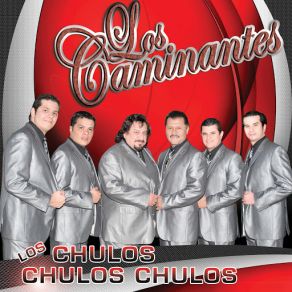 Download track Derrumbes Los Caminantes