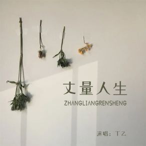 Download track 丈量人生 Ding Yi