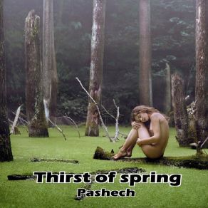 Download track The Imagined Spring Pashech