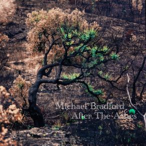 Download track Intro (After The Ashes) Michael Bradford