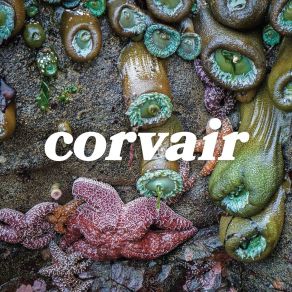 Download track Three Stars Corvair