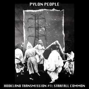 Download track Starfall Common (Hawthonn Version) Pylon People