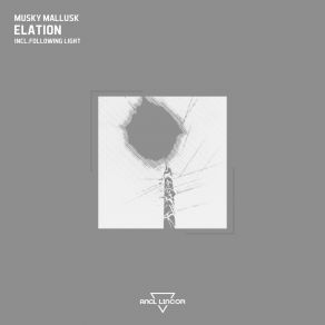 Download track Elation (Following Light Remix) Musky MolluskFollowing Light