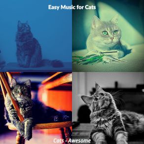 Download track Lovely (Relaxing Cats) Easy Music For Cats