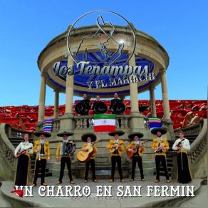 Download track Los Tiros De Mi Canana Los Tenampas