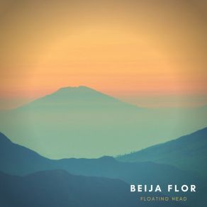 Download track Acid Night Shift Beija Flor