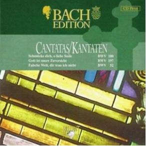 Download track Schmücke Dich, O Liebe Seele BWV 180 - VI Recitativo (Basso) Johann Sebastian Bach