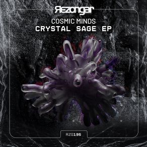 Download track Crystal Sage Cosmic Minds