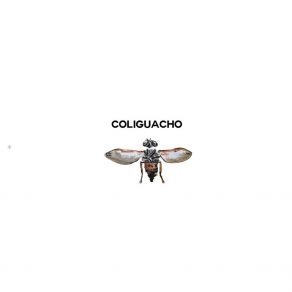 Download track Coliguacho, Pt 2 Coliguacho