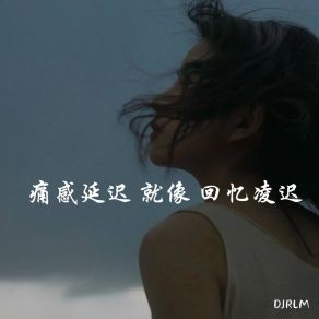 Download track 我看清了雾里的细雨 DJRLM