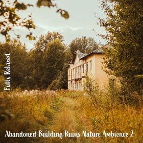 Download track Abandoned Building Ruins Nature Ambience, Pt. 13 Steve Brassel