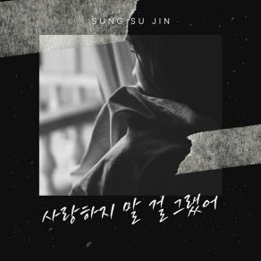 Download track I Shouldn't Have Loved You Sung Su Jin