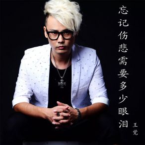 Download track 忘记伤悲需要多少眼泪 (DJ光波版) Jue Wang