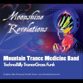 Download track Shady Groove Mountain Trance Medicine Band