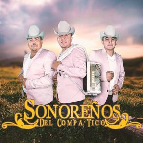 Download track Cariño Nuevo Sonoreños Del Compa Tico