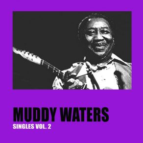 Download track Blow Wind Blow (Single Version) Muddy Waters