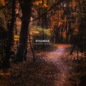 Download track Stillness Holographic Seawaves