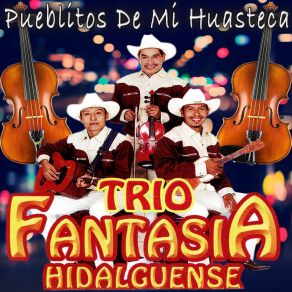 Download track Pueblitos De Mi Huasteca Trio Fantacia Hidalguense