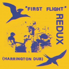 Download track REDUX Dub # 11 Dave HarringtonChris Forsyth, Spencer Zahn