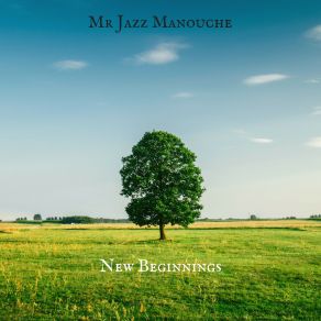 Download track Things Ive Seen Mr Jazz Manouche