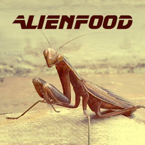 Download track Cuerpo A Cuerpo Alienfood