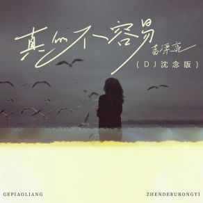 Download track 真的不容易 (Dj沈念版伴奏) 沈念