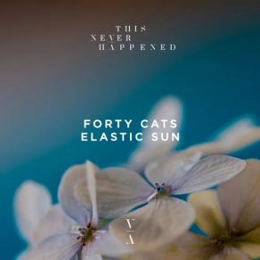 Download track Boruta (Original Mix) Forty Cats