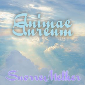 Download track Snorre Melker Animae 2 Snorre Melker